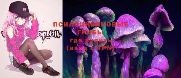 крисы Ростов