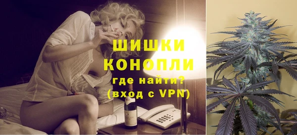 винт Ленск