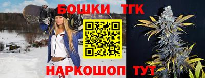 шишки Апшеронск