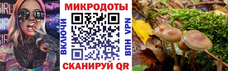 Галлюциногенные грибы прущие грибы  купить наркоту  Пенза 