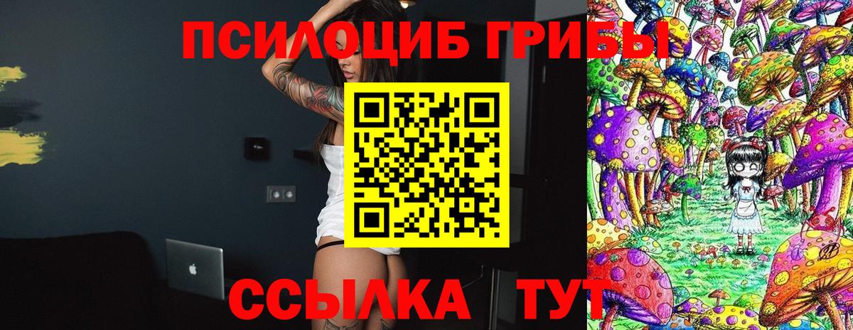 Галлюциногенные грибы MAGIC MUSHROOMS  Вход с VPN  Галлюциногенные грибы ЛСД  Пенза 