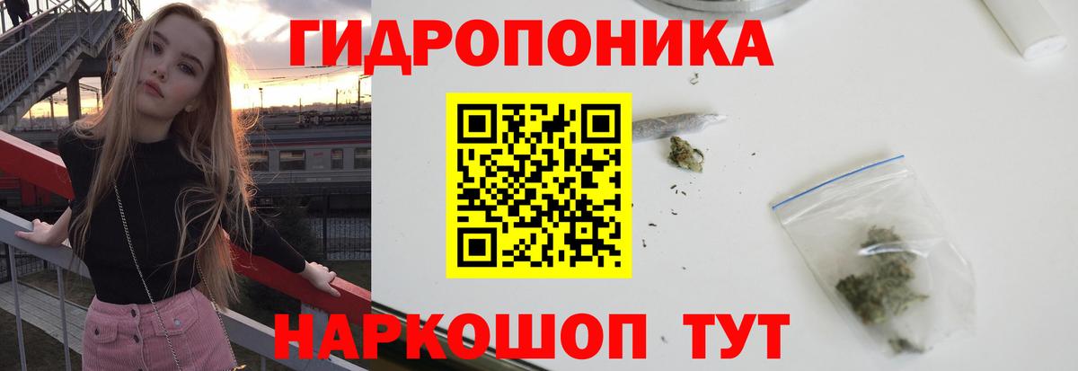 Марихуана планчик  Марихуана White Widow  Вход с VPN  Пенза 
